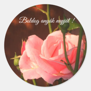 Pink rose Hungarian Mother's Day Classic Round Sticker