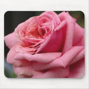 Pink Rose I Pretty Floral Photography Mouse Mat