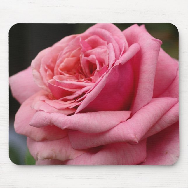 Pink Rose I Pretty Floral Photography Mouse Mat (Front)