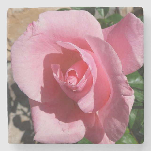 Pink Rose III Garden Floral Stone Coaster (Front)