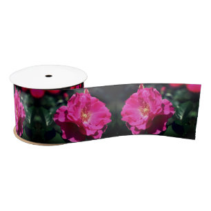 Pink Rose In Full Bloom Close Up Satin Ribbon