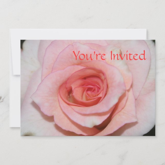 Pink Rose Invitation (Front)