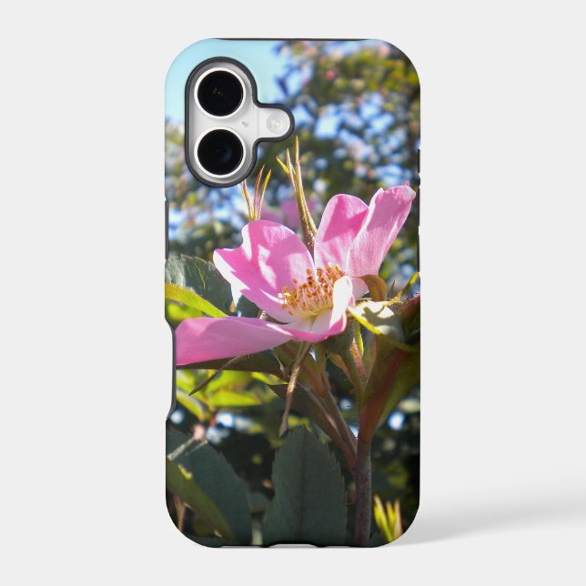 Pink Rose iPhone 5 case (Back)