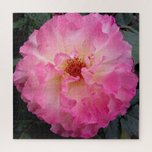 Pink Rose Jigsaw Puzzle (Vertical)