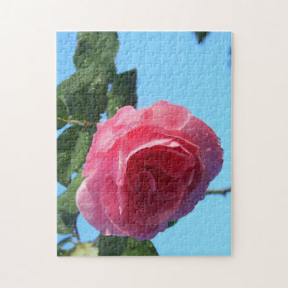 Pink Rose Jigsaw Puzzle