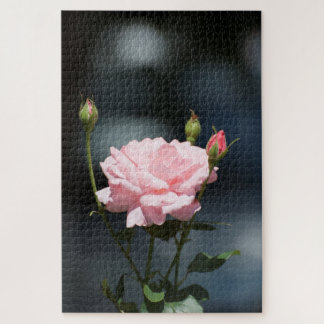 pink rose jigsaw puzzle