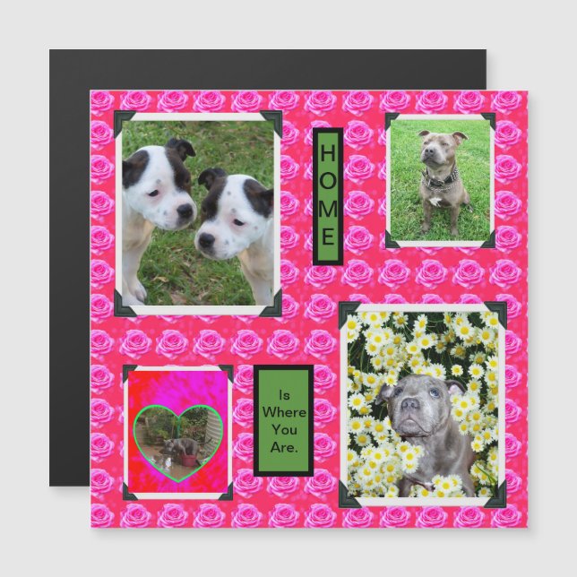Pink Rose Kisses With Staffordshire Bull Terriers, (Front/Back)
