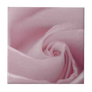 Pink Rose Macro Tile
