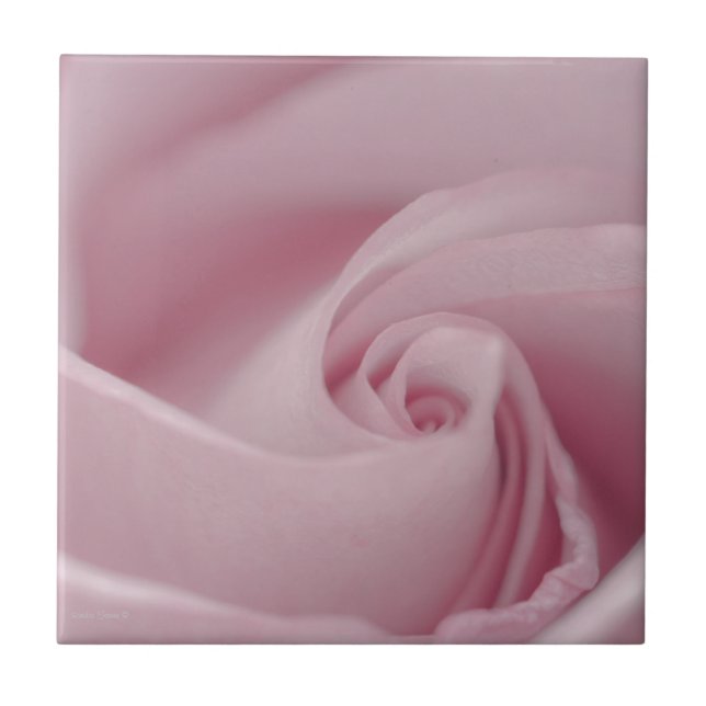 Pink Rose Macro Tile (Front)