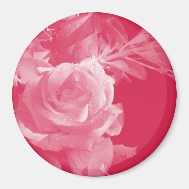 Pink Rose Magnet (Front)