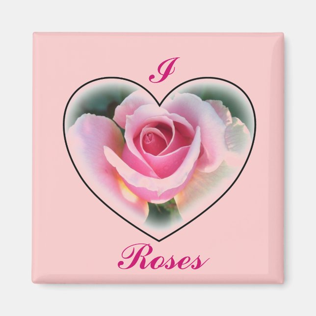 Pink Rose Magnet (Front)