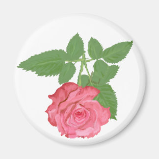 Pink rose magnet