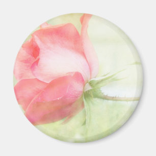 Pink Rose Magnet