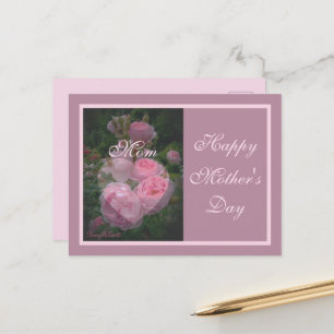 Pink Rose Mother's Day Postcard