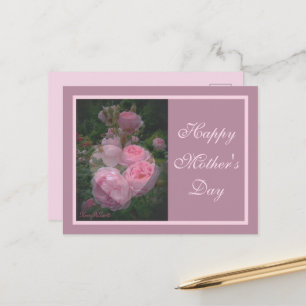 Pink Rose Mother's Day Postcard