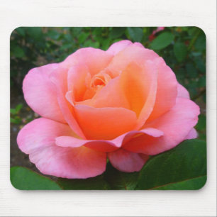 Pink Rose Mouse Mat