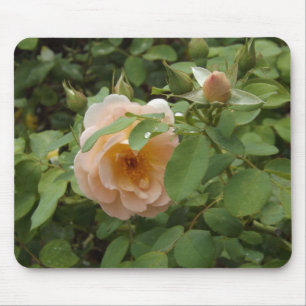 Pink Rose Mouse Mat