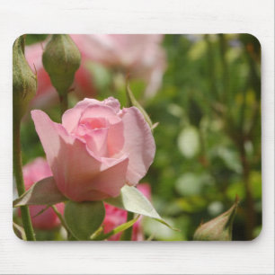 Pink Rose Mouse Mat