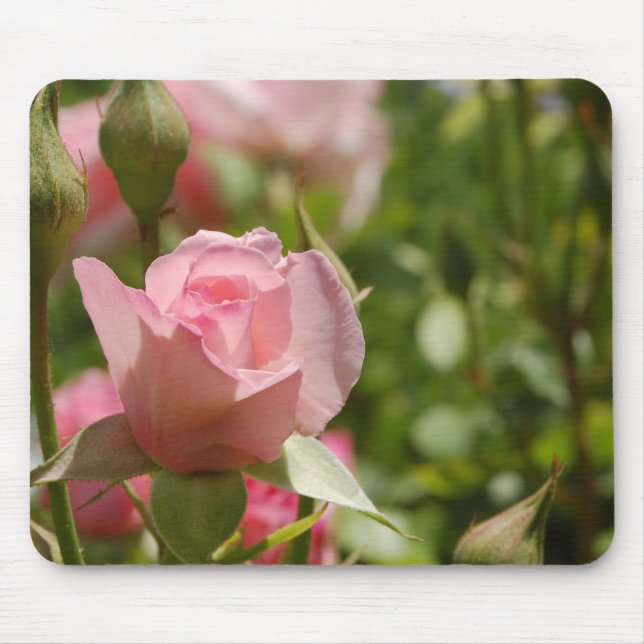 Pink Rose Mouse Mat (Front)