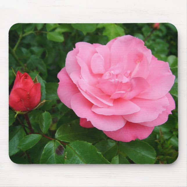 pink rose mouse mat (Front)