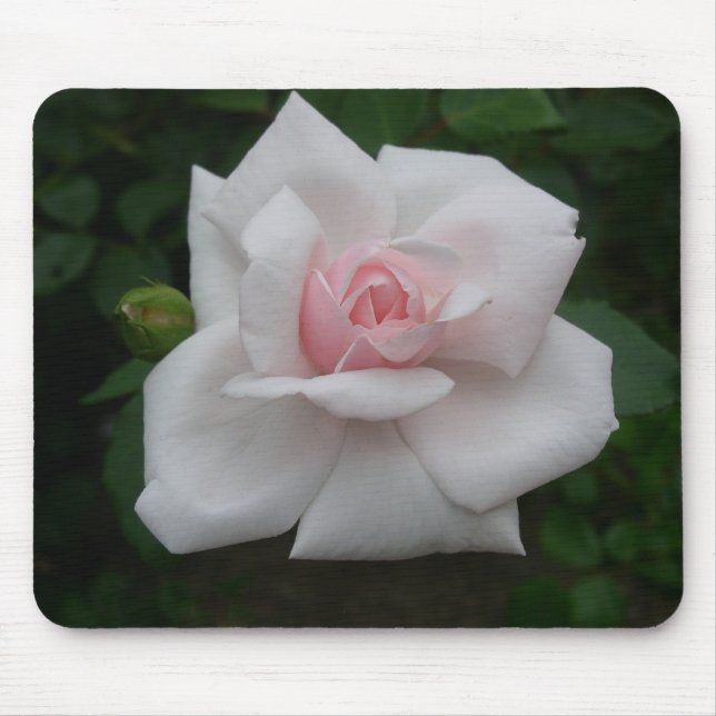 Pink rose mouse mat (Front)
