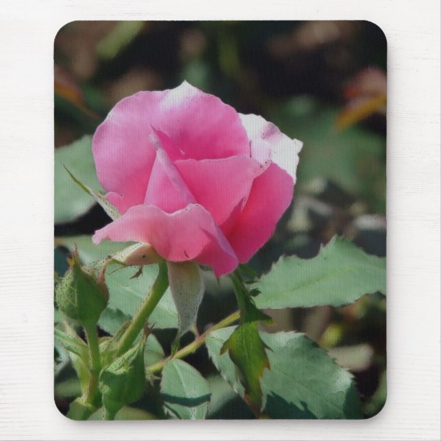 Pink Rose Mouse Mat (Front)