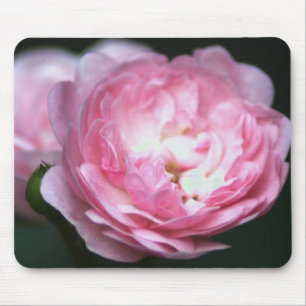 Pink Rose Mousepad! Mouse Mat