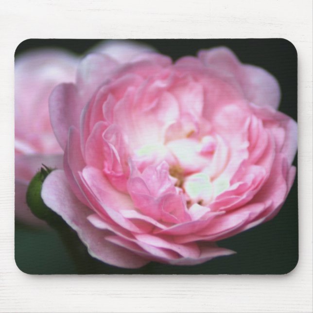 Pink Rose Mousepad! Mouse Mat (Front)