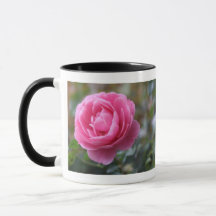 pink rose