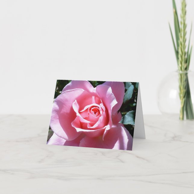 Pink Rose  Note Card (Front)