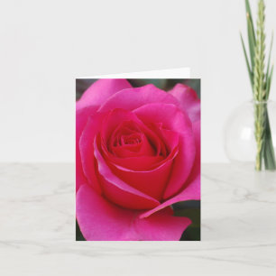 Pink Rose Note Cards