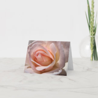 Pink Rose Note Cards