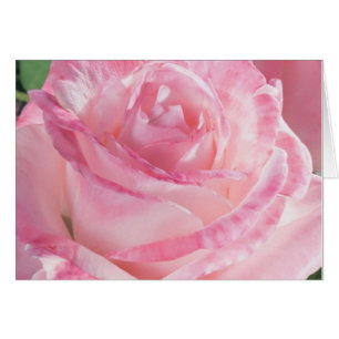 Pink Rose Note Cards