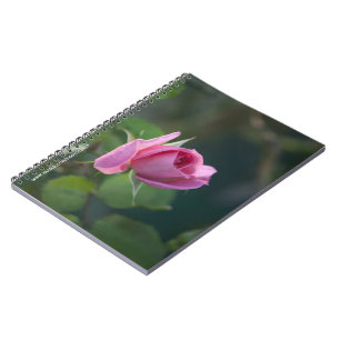 Pink Rose Notebook