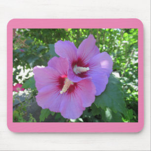 Pink Rose of Sharon Photo Mouse Mat