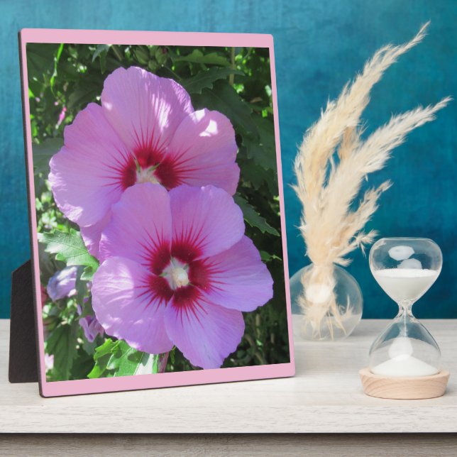 Pink Rose of Sharon Photo Plaque (Side)