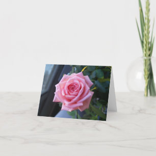 Pink rose on a blank note card