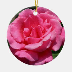 Pink Rose Ornament