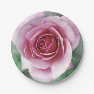 Pink rose paper plate