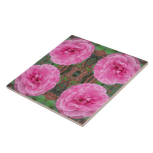Pink Rose Pattern Tile