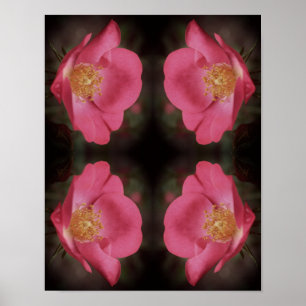 Pink Rose Petals Abstract Vintage Poster