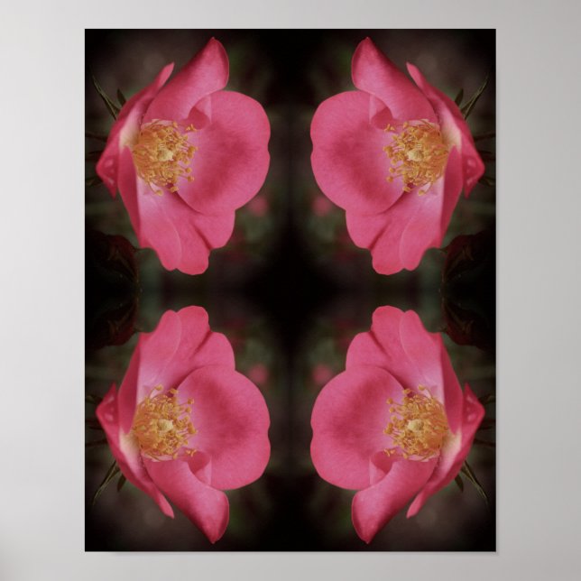 Pink Rose Petals Abstract Vintage Poster (Front)