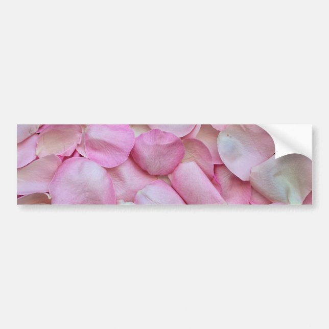 Pink Rose Petals Bumper Sticker (Front)
