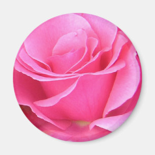 Pink Rose Petals customisable magnet