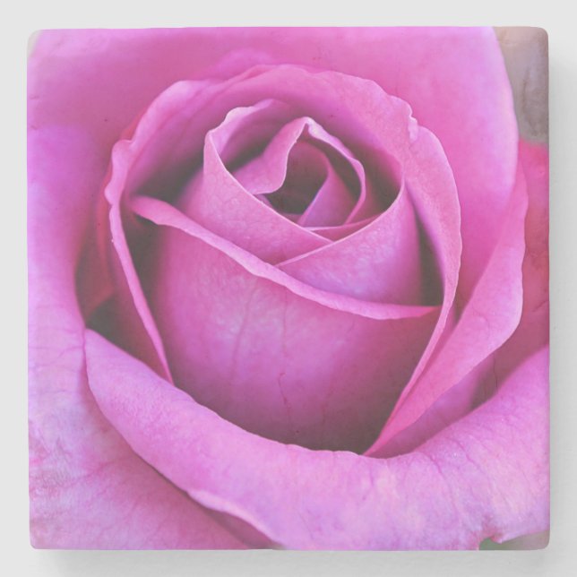 Pink Rose Petals Flower Art Coaster (Front)