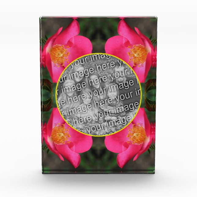 Pink Rose Petals Frame Create Your Own  Photo Block (Front)