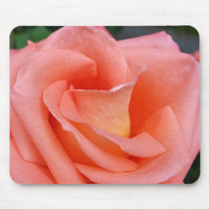 pink rose petals mouse mat