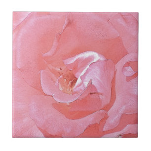 Pink Rose Petals Tile
