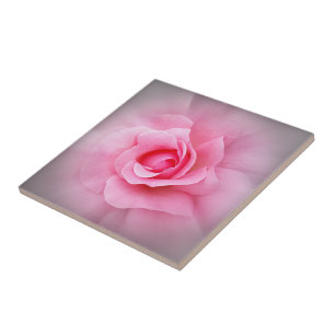 Pink rose petals tile