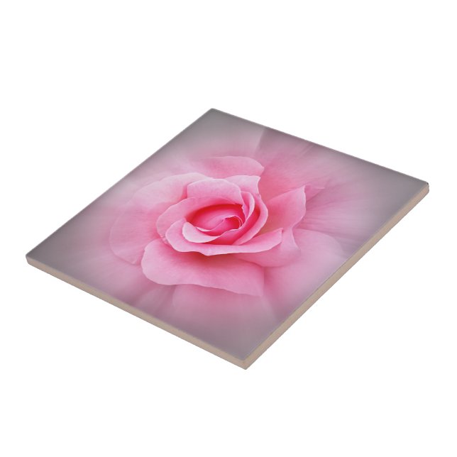 Pink rose petals tile (Side)